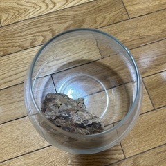 ジェックス GEX AQUARIUM グラスアクア ティアー-N アクアリウム 小型水槽 の画像