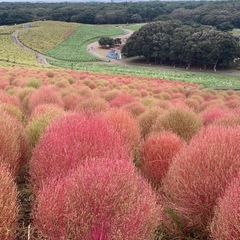 友達を増やしたい！！ − 千葉県