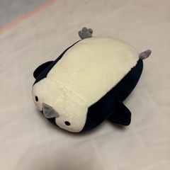 ペンギン　ぬいぐるみ
