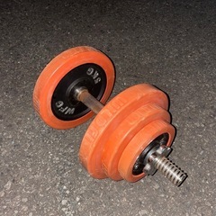 ダンベル　トレーニング　筋トレ　