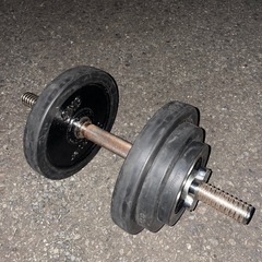 ダンベル　トレーニング　筋トレ