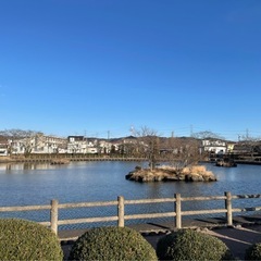 町田に越してきました！！