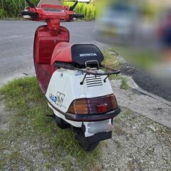 ホンダ　リードSS  50の画像