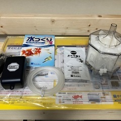残り１セットです  水作 金魚ファミリーＬの中身だけ