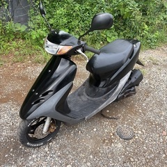 ホンダ　ライブディオ　(検)オートバイ　原付き　スクーター　バイ...