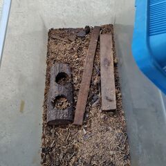 【中古】ムシカゴ（カブト虫用）の画像