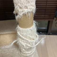 キャットタワーの画像