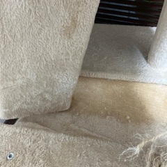 キャットタワーの画像
