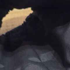 未使用　アームカバー　袖口カバー　汚れ防止　りんご柄の画像