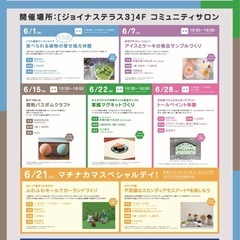 ジョイナステラス3／スカンディアモスアート®︎