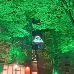愛媛にツーリングで来られるなら 誘ってください 🏍🏍³₃