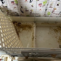 うさぎのゲージの画像