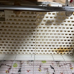 うさぎのゲージの画像