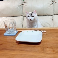 なんでも屋 RYOサービス