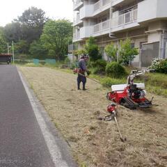 庭師　植木屋アルバイト　枝木草ゴミの清掃・積み込みの画像
