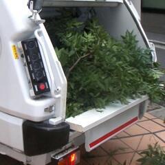 庭師　植木屋アルバイト　枝木草ゴミの清掃・積み込みの画像