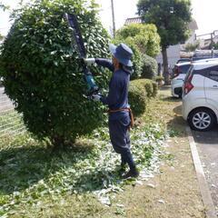 庭師　植木屋アルバイト　枝木草ゴミの清掃・積み込みの画像