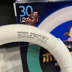 【取引先決まりました】ホタルックa 30形 １個の画像