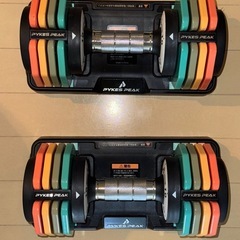 可変式ダンベル 10kg 2個セット  PYKES PEAK(パ...
