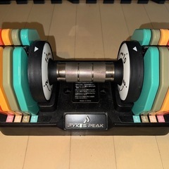 可変式ダンベル 10kg 2個セット  PYKES PEAK(パイクスピーク)の画像