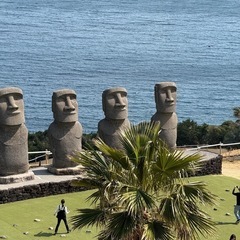 フットサルチーム