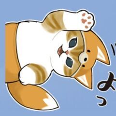 最近三重県に引っ越しできました😊