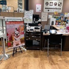 撮影会スタッフ　カメラマンアシスタント兼受付募集
