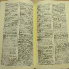 『スタンダード佛和辞典　増補改訂版』鈴木信太郎他　大修館書店の画像