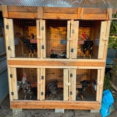 鶏小屋を作ってくれる方探してます！