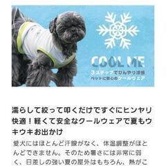 coolme犬用冷感服の画像