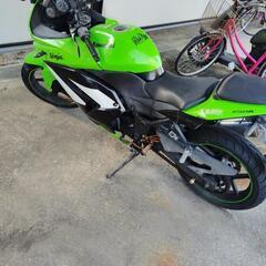 Kawasaki Ninja 250REXk