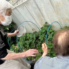 週１、半日～OKです！木曜日だけ出勤助かります！笑顔で一緒に働きましょう！の画像