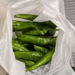 和歌山で農業（米、野菜）はじめませんか！？ − 和歌山県
