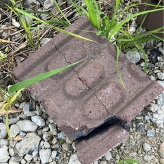 レンガ　ブロック　ガーデニングの画像