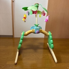 プーメリー✨の画像