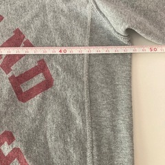 チャンピオン　Tシャツ　グレーの画像