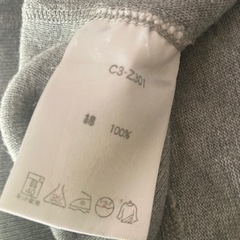 チャンピオン　Tシャツ　グレーの画像