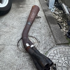 ヤシメガの画像