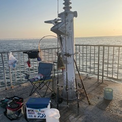 釣りしませんか🎣