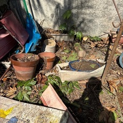 植木鉢たくそん