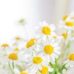 🎙️ 通話メインの、あたたかいグループです 🌿