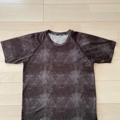 メンズ　速乾素材　Tシャツ　小さめ L L の画像