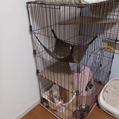 猫用ゲージの画像