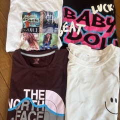 Tシャツ まとめての画像