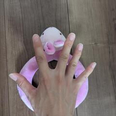 布おもちゃ　動物輪なげ遊びの画像
