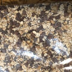 期限7月31日　ドイツの本格ミューズリー(シリアル)　チョコレート クラシック600g　3個で1000円（合計1800ｇ）の画像
