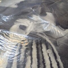 (中古LPレコード)何か言い忘れたようで・・・‐因幡晃(2)