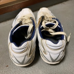 ZETT スパイク　25cmの画像