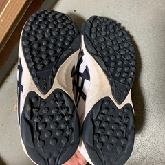 アシックス　トレシュー　25cmの画像