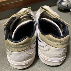 アシックス　トレシュー　25cmの画像